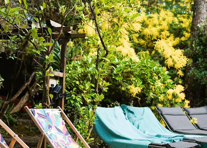 Tropicool Lège-Cap-Ferret