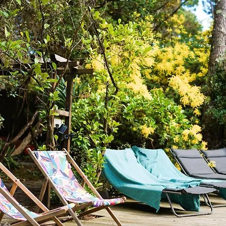 Tropicool Lège-Cap-Ferret