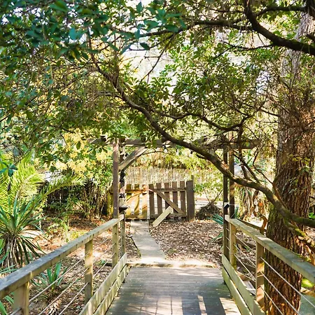 Tropicool * Lège-Cap-Ferret